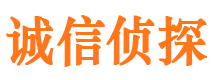 陵县市侦探调查公司